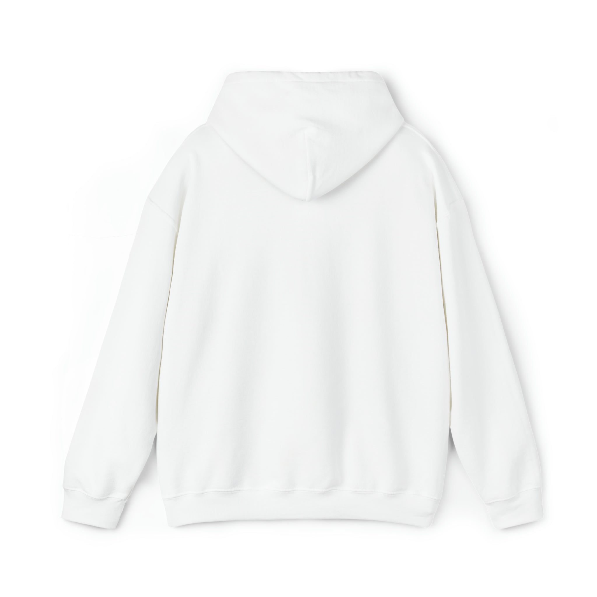 AstroPuNk Anarchy Hoodie